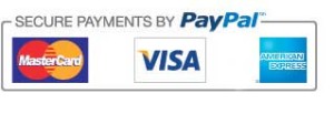 While Stocks Last secure payments